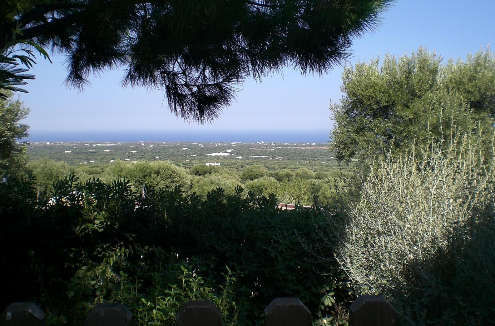 مونوبولي Bed And Breakfast La Casetta المظهر الخارجي الصورة