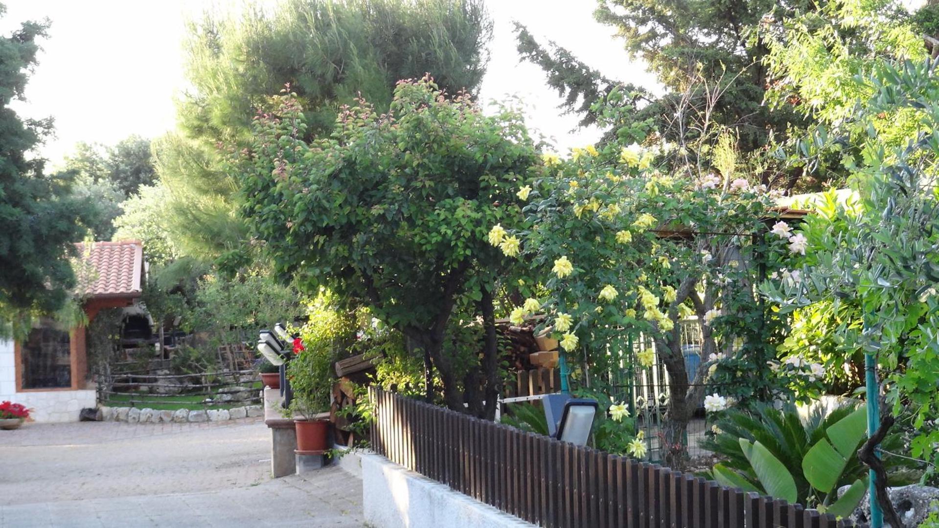 مونوبولي Bed And Breakfast La Casetta المظهر الخارجي الصورة