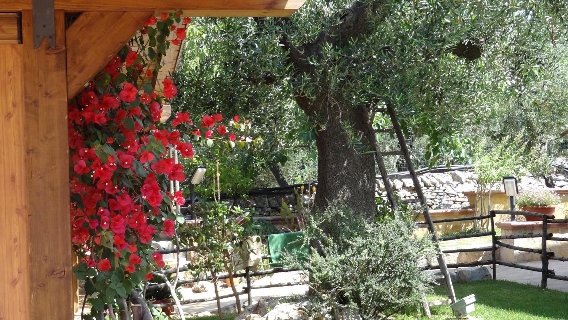 مونوبولي Bed And Breakfast La Casetta المظهر الخارجي الصورة