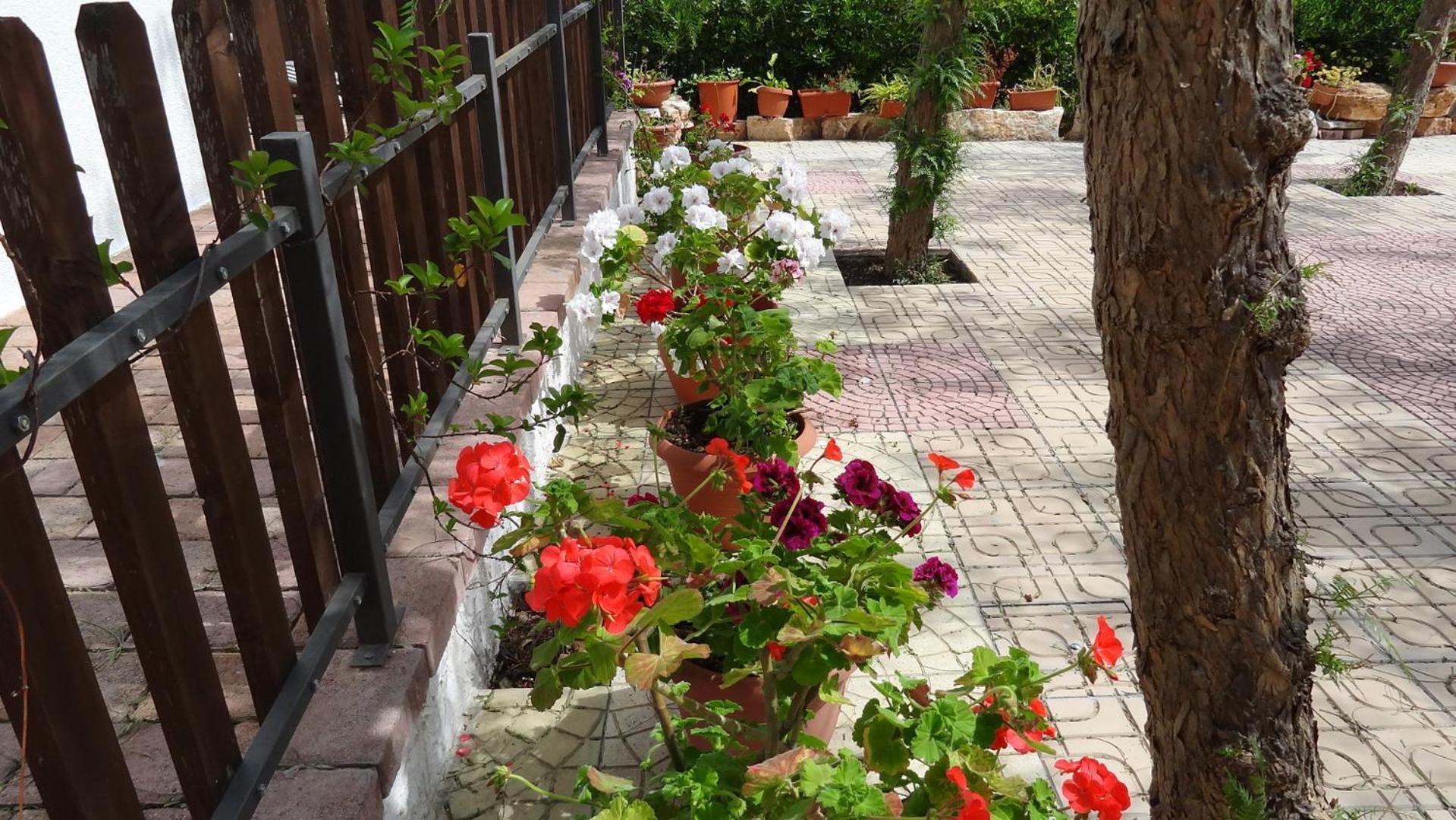 مونوبولي Bed And Breakfast La Casetta المظهر الخارجي الصورة